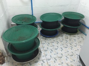 img_0655