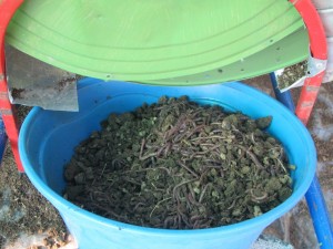 รูปภาพ 1(8)